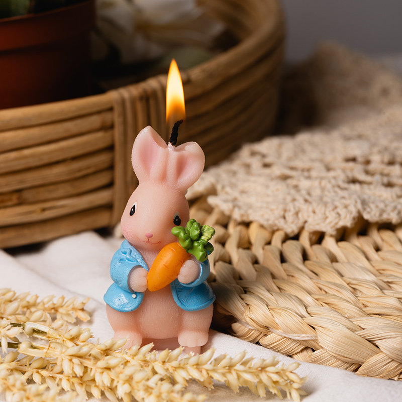 Kinderfeestbenodigdheden Creat - Candle Supplies Free Shipping recensie en prijs