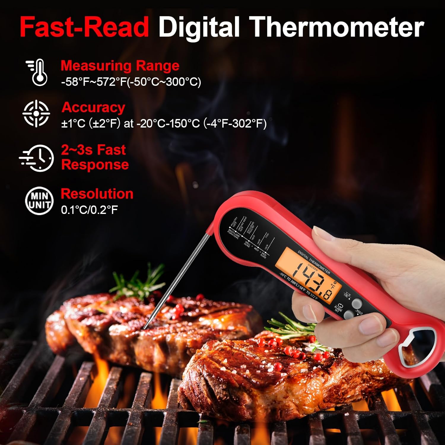 Lange kabel professionele digi - Digital Thermometer Probe recensie en prijs